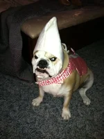 Boooooooger 1.webp