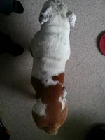 2014-04-08 16.26.20.webp 2014-04-08 16.26.20.webp