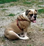 martha 006.webp martha 006.webp