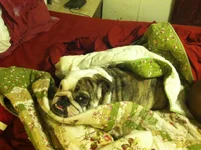 image.webp