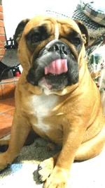2014-08-30 16.31.20.webp