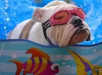 summer fun.webp
