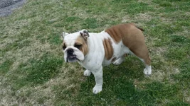 20140417_154807.webp