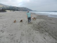 Stinson Beach September 2014 003.jpg