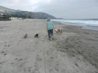 Stinson Beach September 2014 003.webp