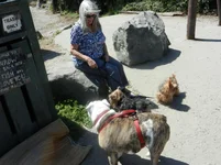 Stinson Beach September 2014 011.webp