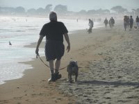 Stinson Beach September 2014 037.jpg