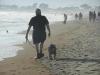 Stinson Beach September 2014 037.webp