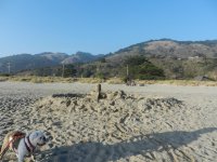 Stinson Beach September 2014 044.jpg