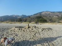 Stinson Beach September 2014 044.webp