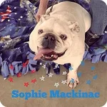 Sophie.webp