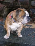 Buford.webp Buford.webp