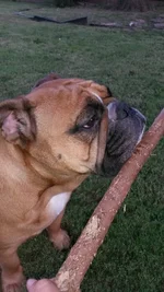 20140728_194838.webp