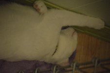 DSC_0150.jpg
