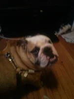 uploadfromtaptalk1403741386206.webp