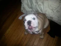 uploadfromtaptalk1403741403009.webp