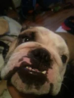 uploadfromtaptalk1403741414184.webp