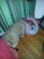 uploadfromtaptalk1403741432610.webp