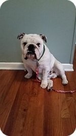 bowser.jpg bowser.jpg