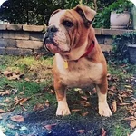 Ellie.webp