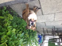 image.webp