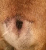 ImageUploadedByTapatalk1410579981.493454.webp