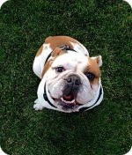 sir charles.jpg sir charles.jpg