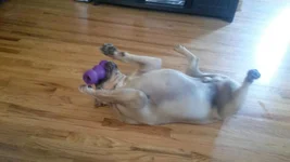 20140627_162539.webp