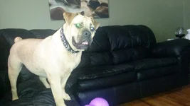 20140627_160628.webp