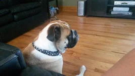 20140627_161342.webp