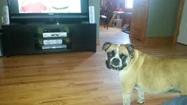 20140627_160346.webp