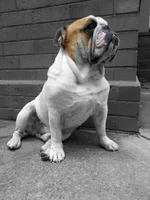 PhotoArt_02172014152126.webp