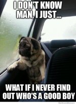 what-if-i-never-find-out-whos-a-good-boy-pug.jpg