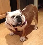 tilly ibr.webp tilly ibr.webp