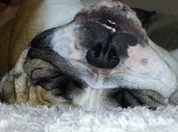 20140315_164409[1].webp