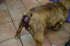 Gary pre surgery.webp