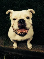 gra gra sooo cute!!.webp
