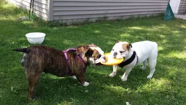 20140914_134443.webp