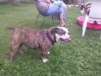 20140826_194457.jpg