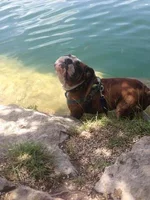 Gary water.webp