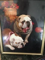 brutus.webp