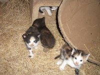 tresboyjune252013 017.JPG