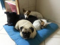 Petras Pics 108.jpg Petras Pics 108.jpg