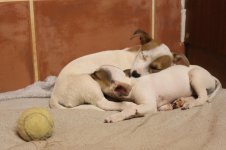 Petra's pictures 372.jpg Petra's pictures 372.jpg