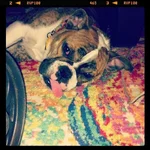 izzaboo2.webp