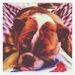 izzaboo3.webp