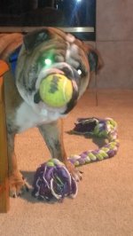 2 toy.jpg 2 toy.jpg