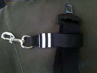 seatbelt.webp