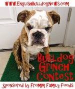 FrommBulldogGrinch.jpg