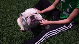 Margot in yard.jpg Margot in yard.jpg